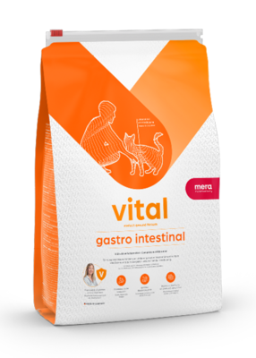 vital gastro intestinal Unterstützt die Verdauung vital gastro intestinal Unterstützt die Verdauung