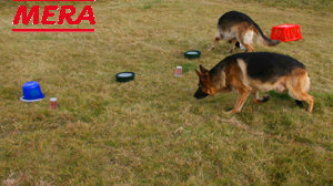 Such-Parcours Such-Parcours