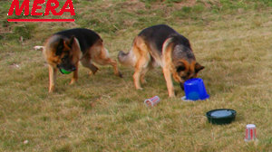 Such-Parcours Such-Parcours