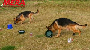 Such-Parcours Such-Parcours