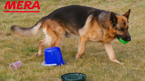 Such-Parcours Such-Parcours