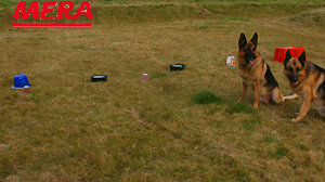 Such-Parcours Such-Parcours