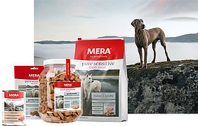 [Translate to English:] MERA pure sensitive