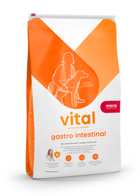 vital gastro intestinal Unterstützt die Verdauung