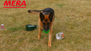 Such-Parcours Such-Parcours