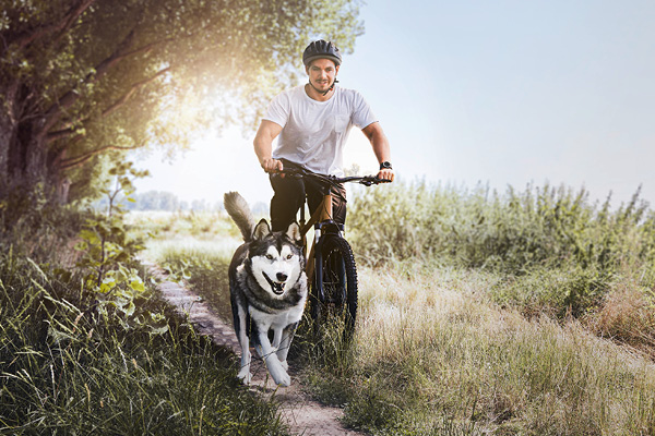 mera petfood - realstory ben und beast