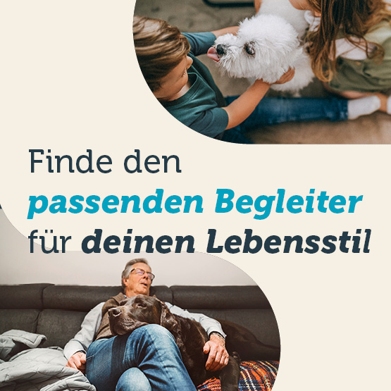 mera petfood hunderassen