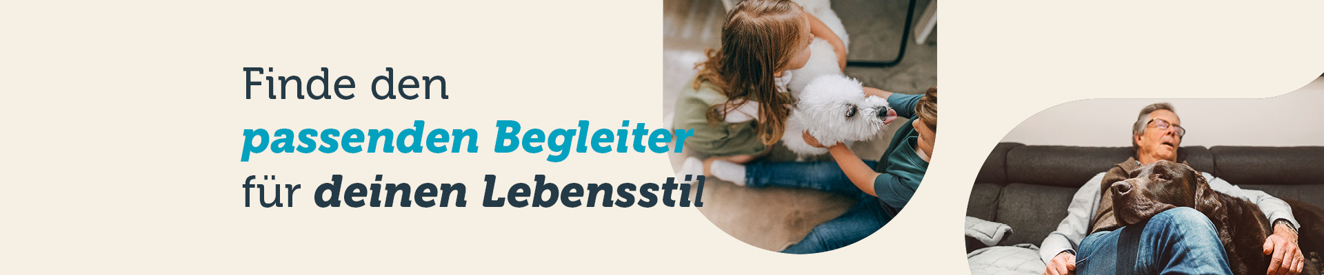 mera petfood hunderassen