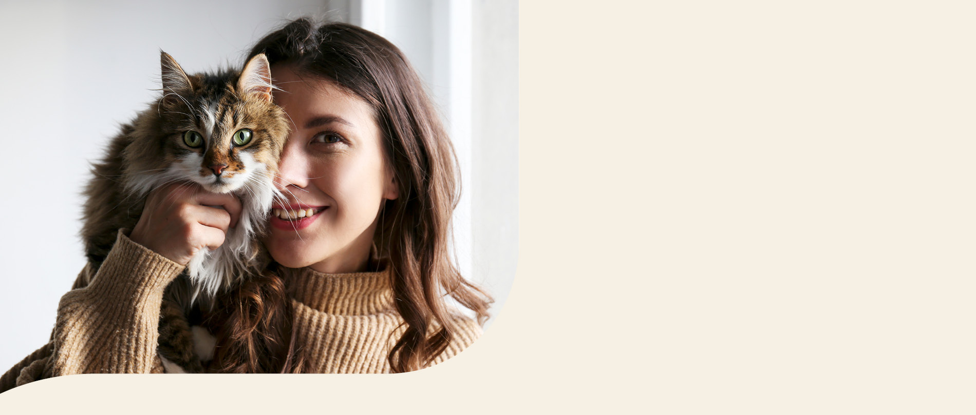 mera petfood Katzenrassen - Raga Muffin