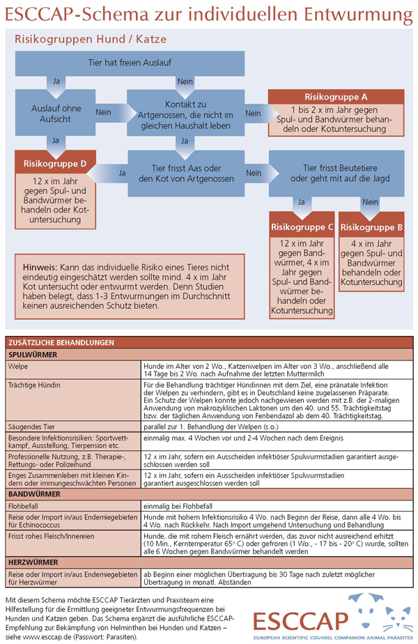 Entwurmungsschema für Hunde und Katze Entwurmungsschema für Hunde und Katze