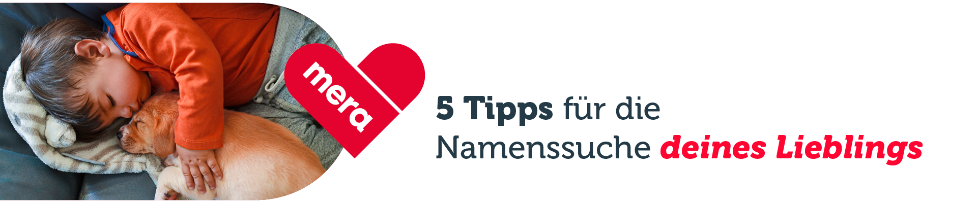 mera petfood hundenamen